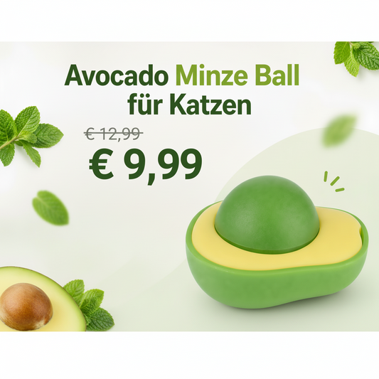 Pallina all'avocado e menta per gatti – Gioco interattivo per gatti con menta