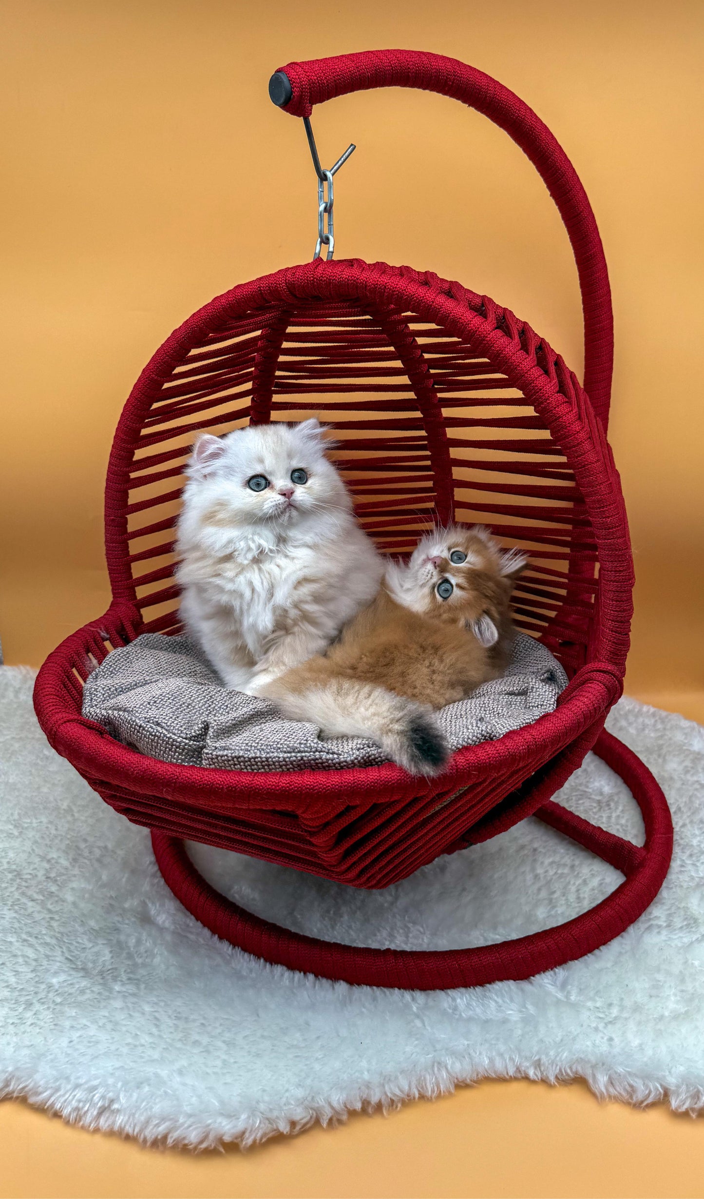 Schaukel für Katzen und Hunde - 45x45x70cm - Katzenschaukel für In-&Outdoor - Inkl. Kissen-Rot