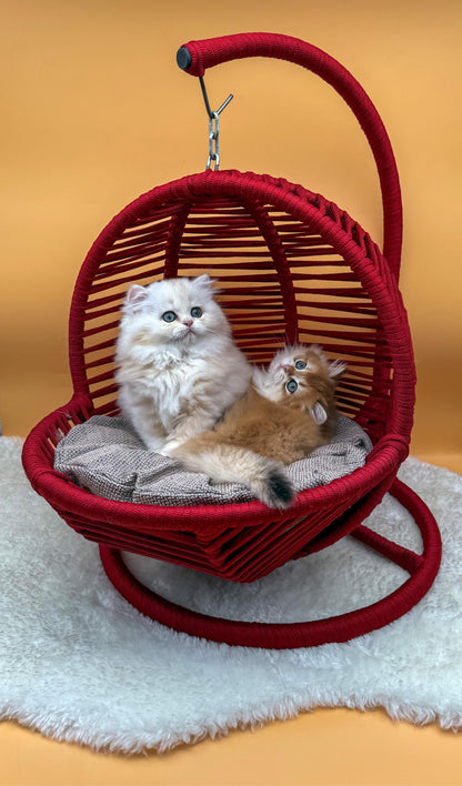 La Tahzen - Handmade Cat Bed for Cats & Small Dogs - Premium Pet Bed