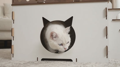 Baki – Das zweistöckige Zuhause für deine Katze